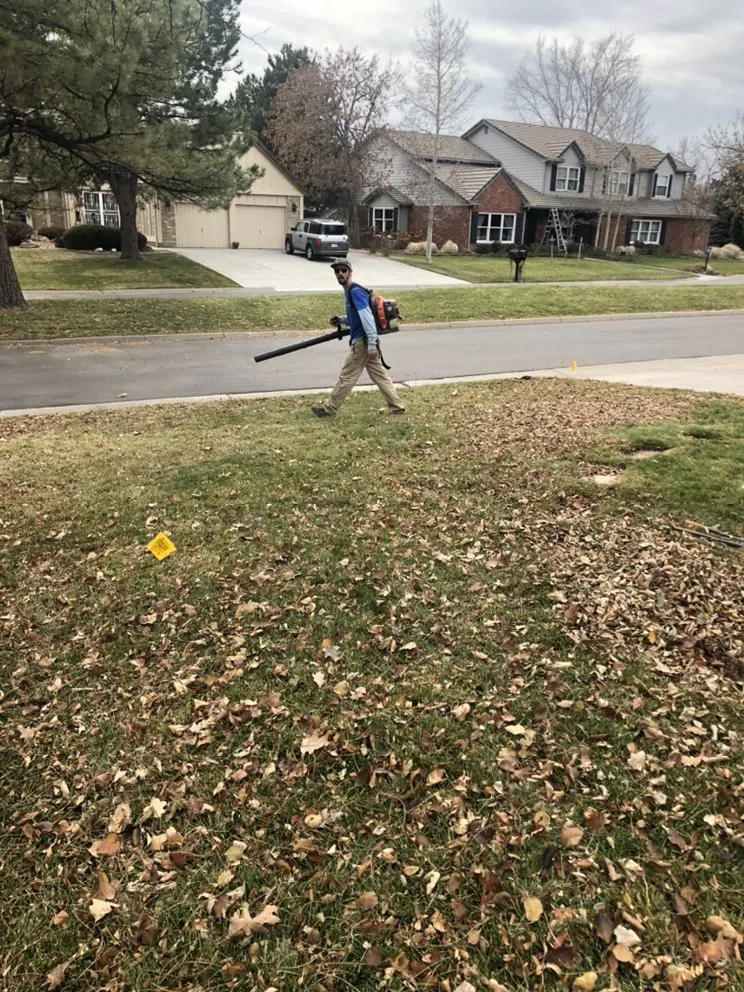 Professional yard cleanup service for homes across Dacono, CO - Southern Brothers Services LLC.