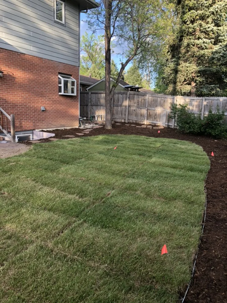 Trusted yard maintenance for beautiful yards in Dacono, CO by Southern Brothers Services LLC.