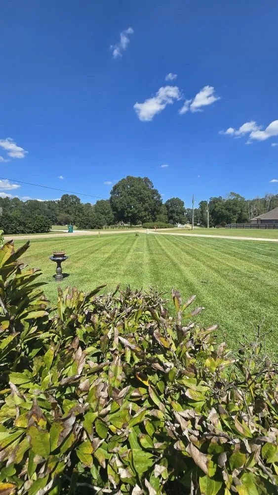 Custom residential landscaping experts serving Walker, LA - Southern Buck Lawn