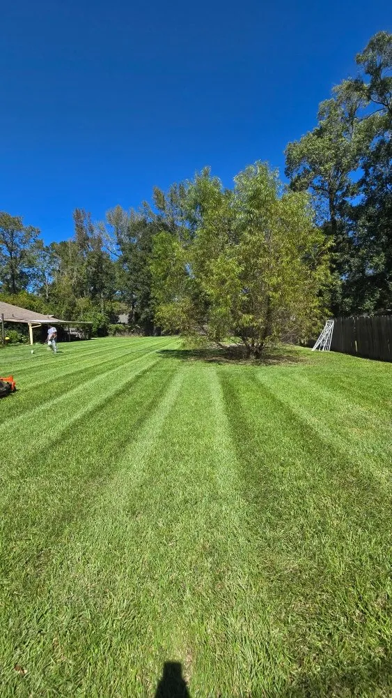 Reliable landscape design with custom design in Walker, LA by Southern Buck Lawn
