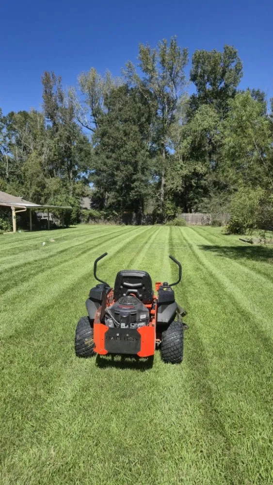Reliable yard cleanup service near you across Walker, LA - Southern Buck Lawn