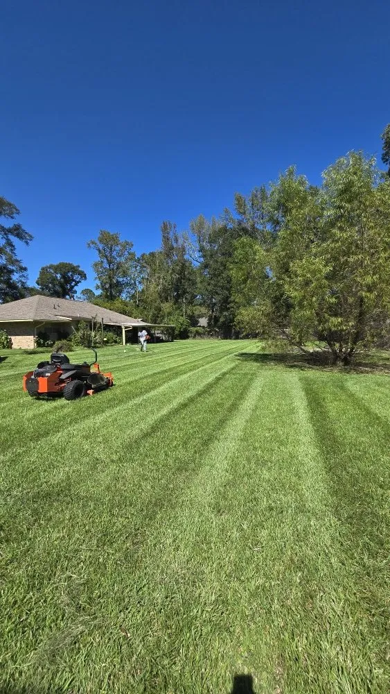 Custom landscape installation for outdoor upgrades in Walker, LA by Southern Buck Lawn