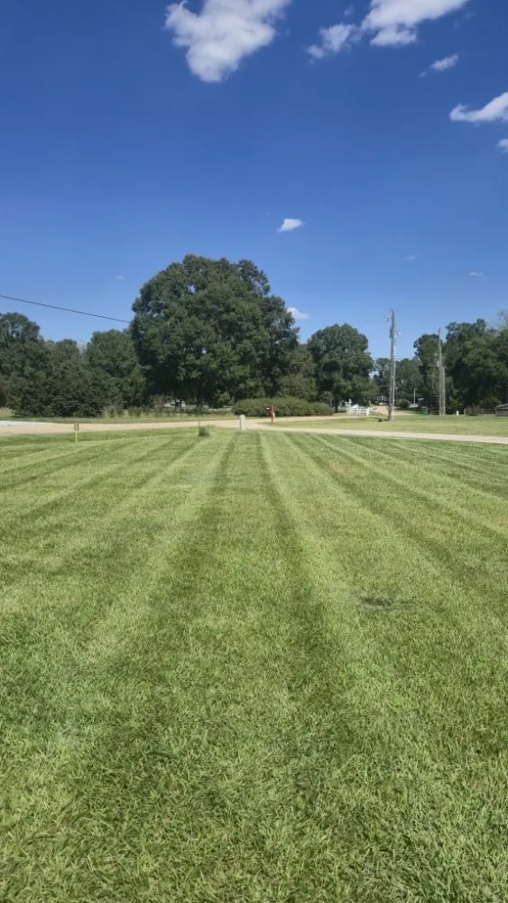 Custom landscape installation for beautiful yards across Walker, LA - Southern Buck Lawn