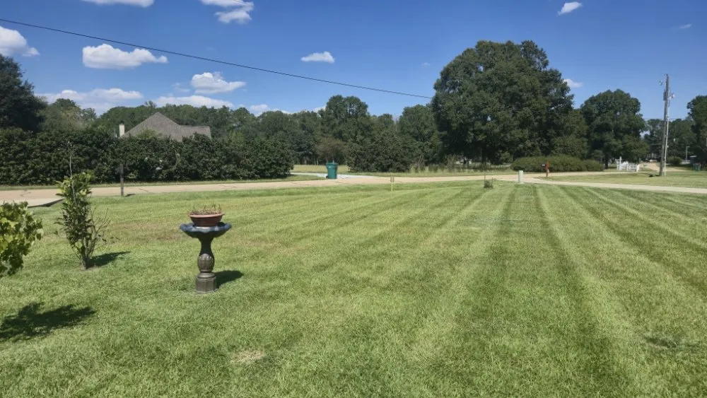 Expert lawn care service experts serving Walker, LA - Southern Buck Lawn