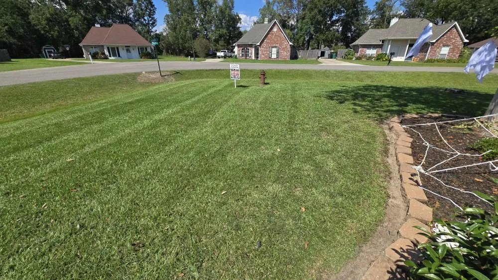 Affordable outdoor landscaping in Walker, LA - Southern Buck Lawn