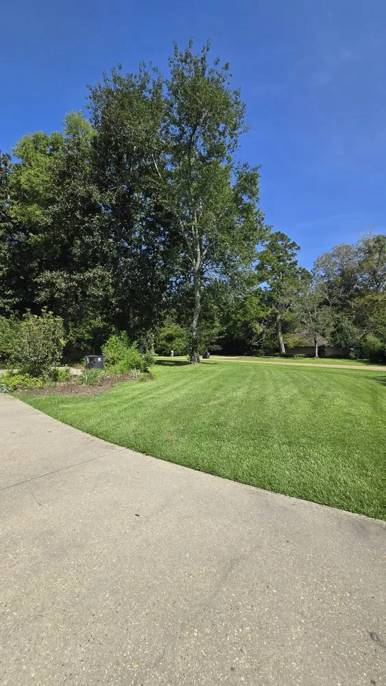 Professional garden landscaping in Walker, LA by Southern Buck Lawn