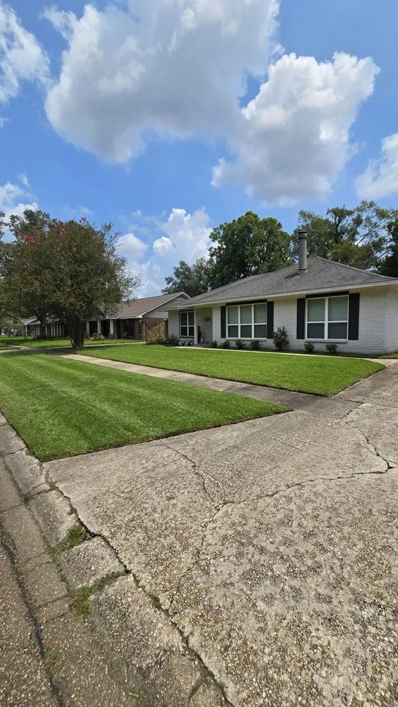 Custom yard cleanup service in Walker, LA - Southern Buck Lawn
