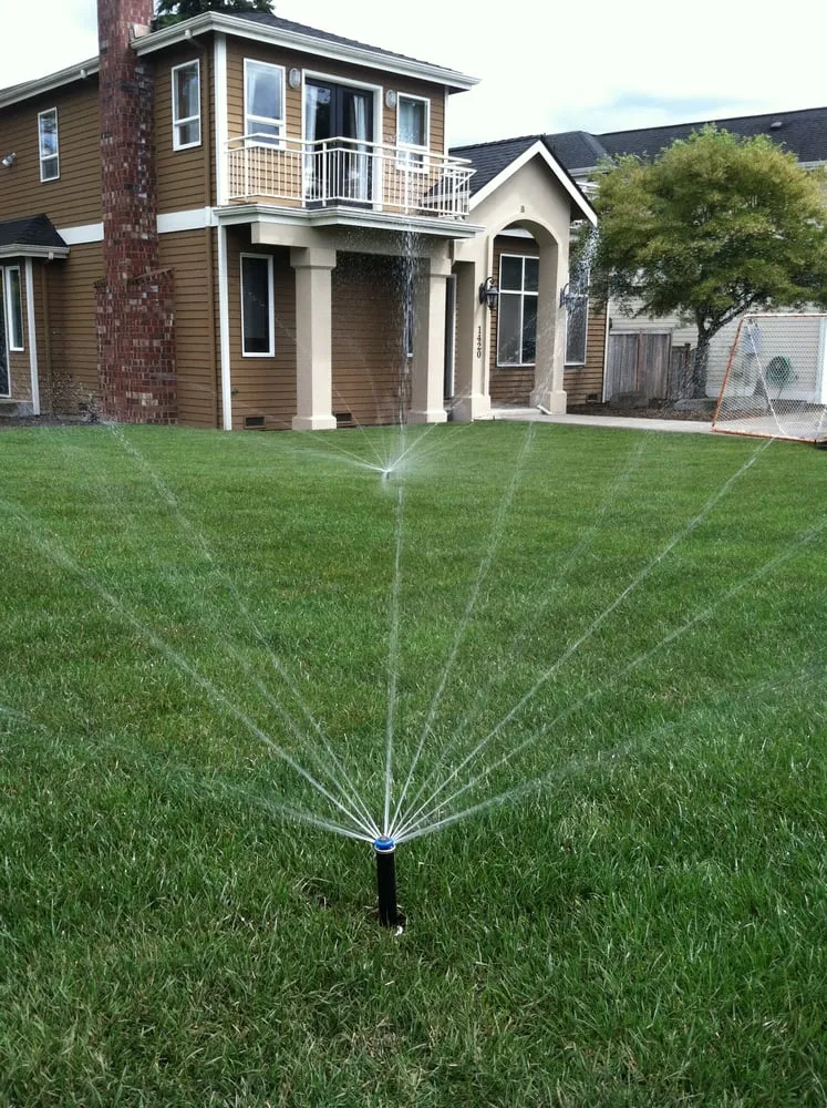 Local landscaping services for outdoor upgrades in Lynnwood, WA by Southern by Design