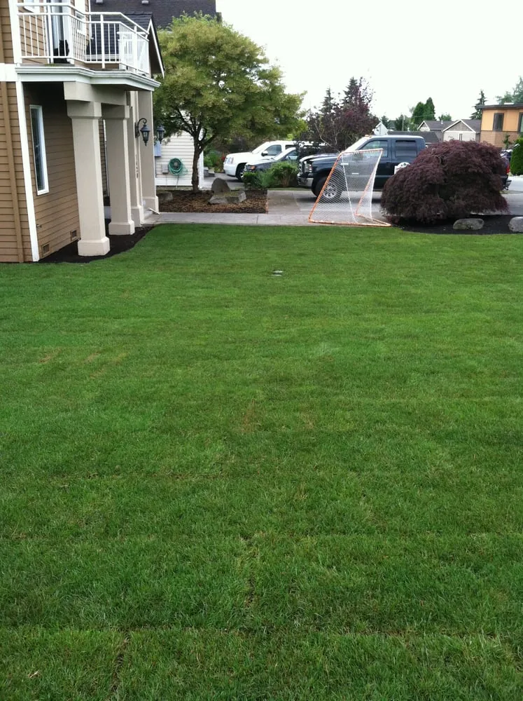 Expert yard cleanup service for year-round maintenance across Lynnwood, WA - Southern by Design