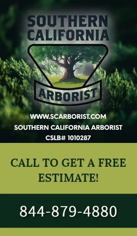 Reliable landscaping services for beautiful yards across Stockton, CA - Southern California Arborist