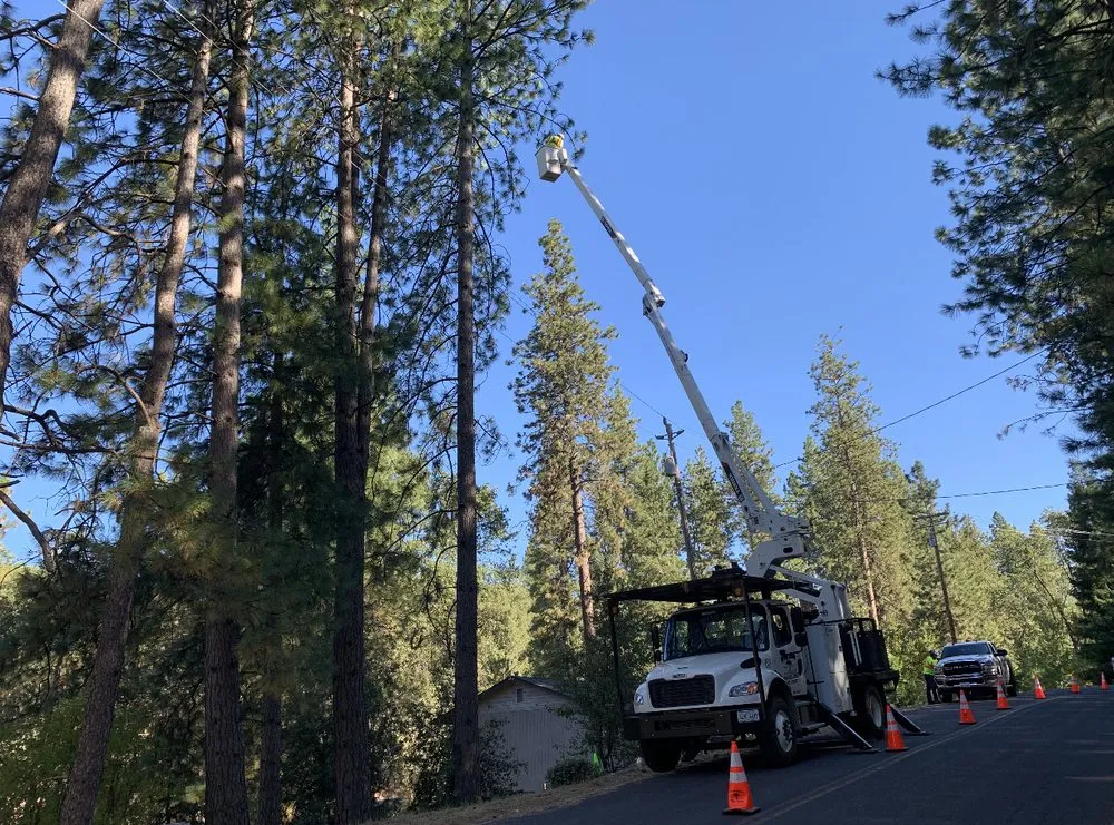 Reliable lawn mowing service experts serving Stockton, CA - Southern California Arborist