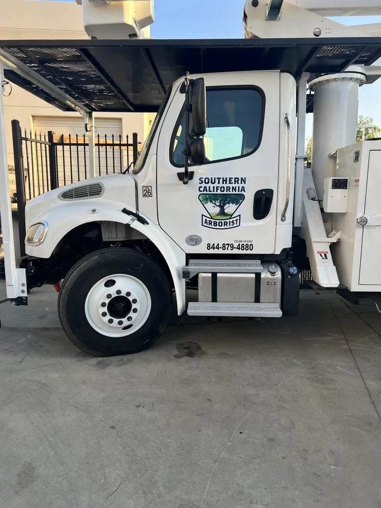 Professional yard maintenance in Stockton, CA by Southern California Arborist