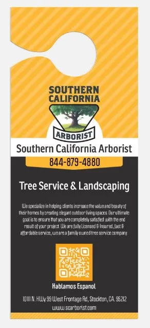 Top-rated yard maintenance experts serving Stockton, CA - Southern California Arborist