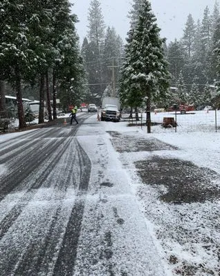 Southern California Arborist Logo