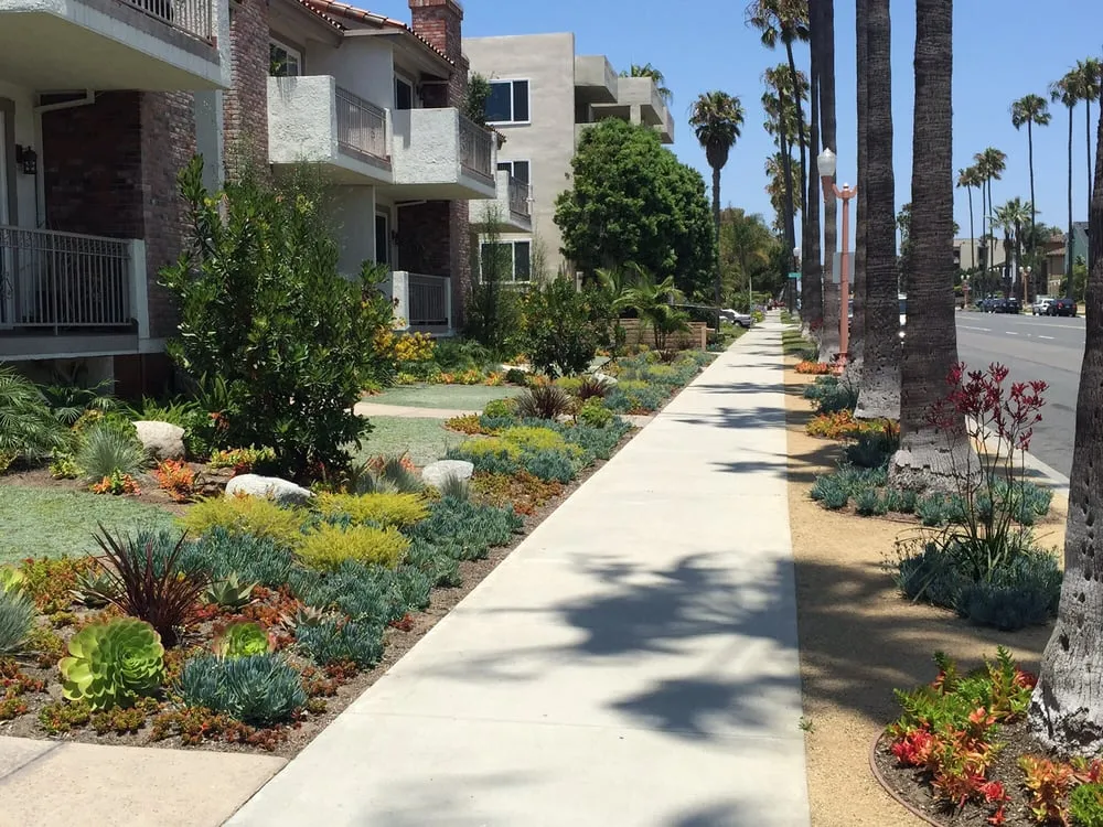 Professional lawn care service in Torrance, CA by Southern California Tree & Landscape