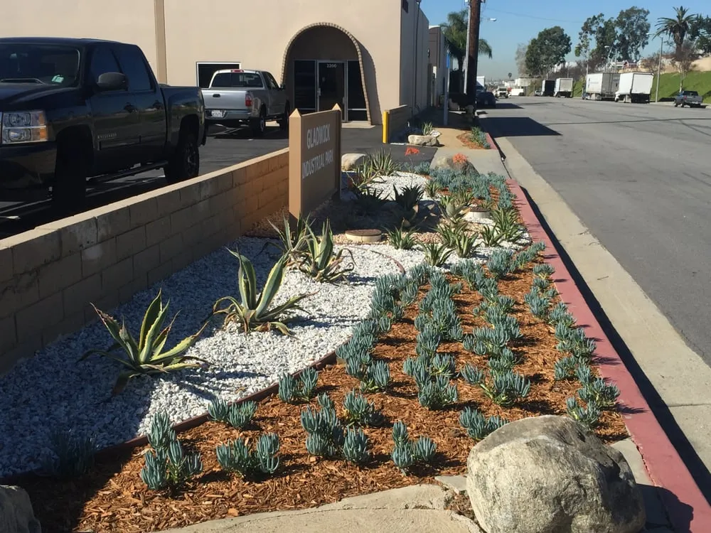 Professional lawn care service for residential properties in Torrance, CA by Southern California Tree & Landscape