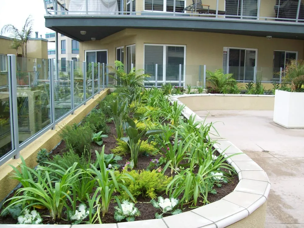 Custom garden landscaping for beautiful yards across Torrance, CA - Southern California Tree & Landscape