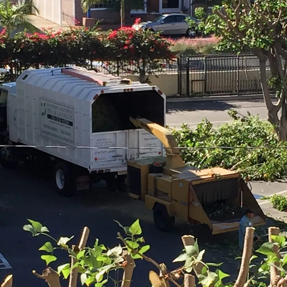 Reliable residential landscaping in Torrance, CA - Southern California Tree & Landscape