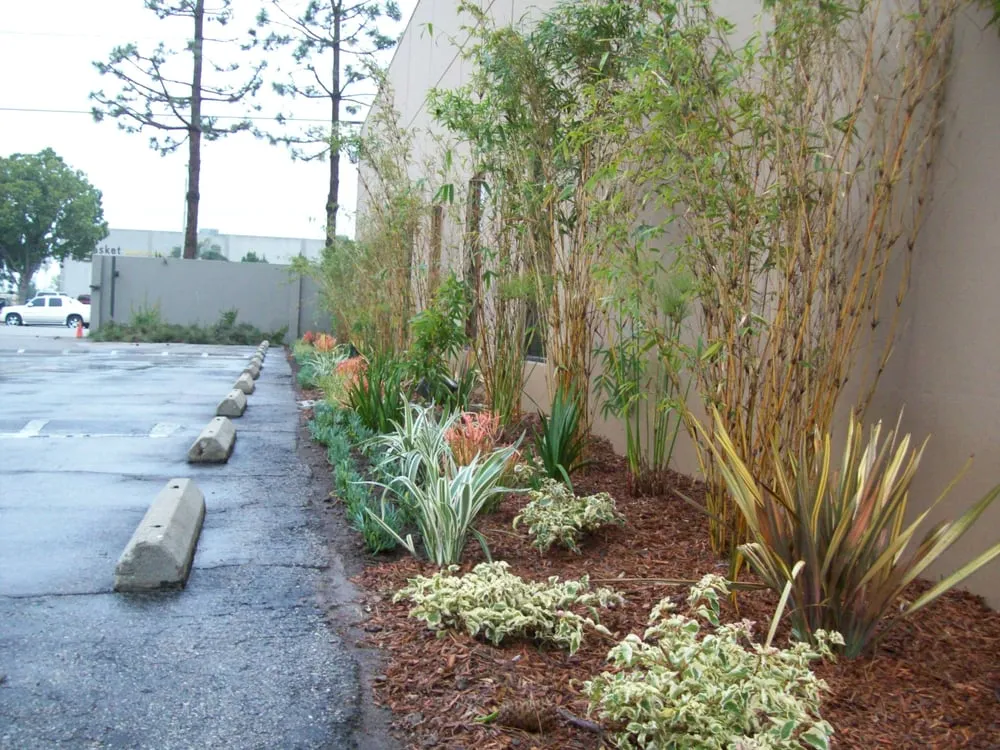 Expert lawn mowing service in Torrance, CA by Southern California Tree & Landscape