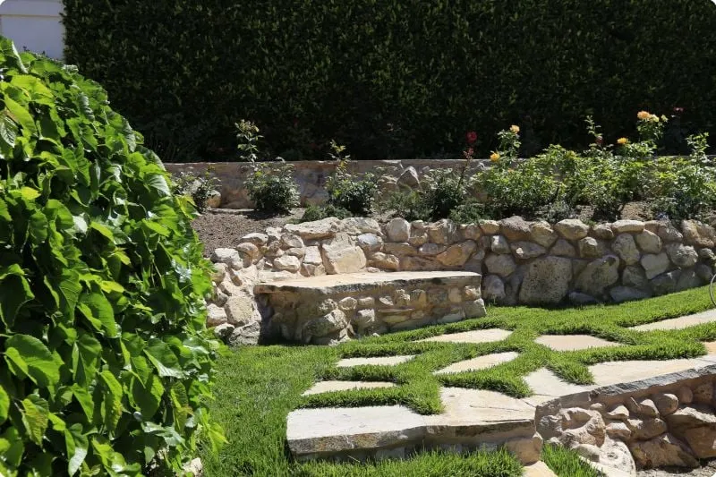 Custom lawn mowing service in Torrance, CA by Southern California Tree & Landscape