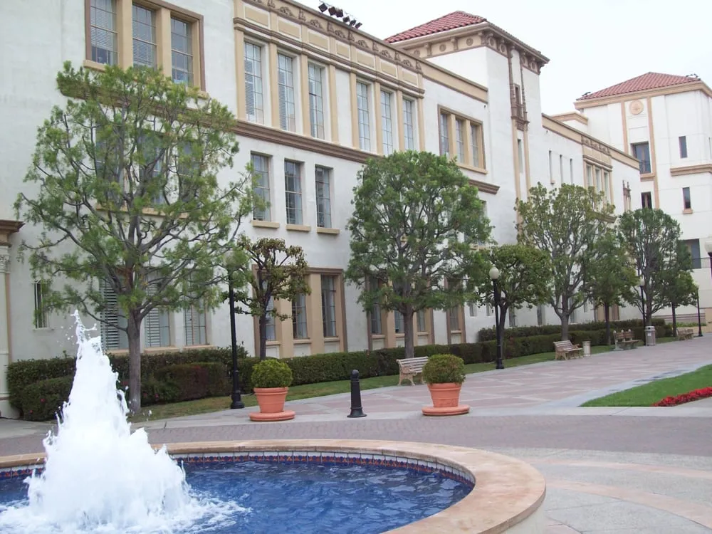 Expert yard cleanup service near you across Torrance, CA - Southern California Tree & Landscape