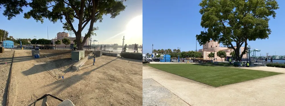 Reliable lawn mowing service in Torrance, CA by Southern California Tree & Landscape