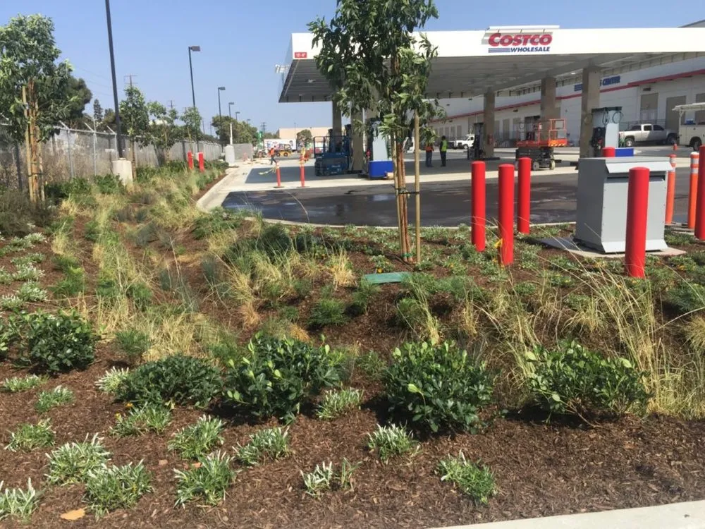 Expert lawn mowing service experts serving Torrance, CA - Southern California Tree & Landscape