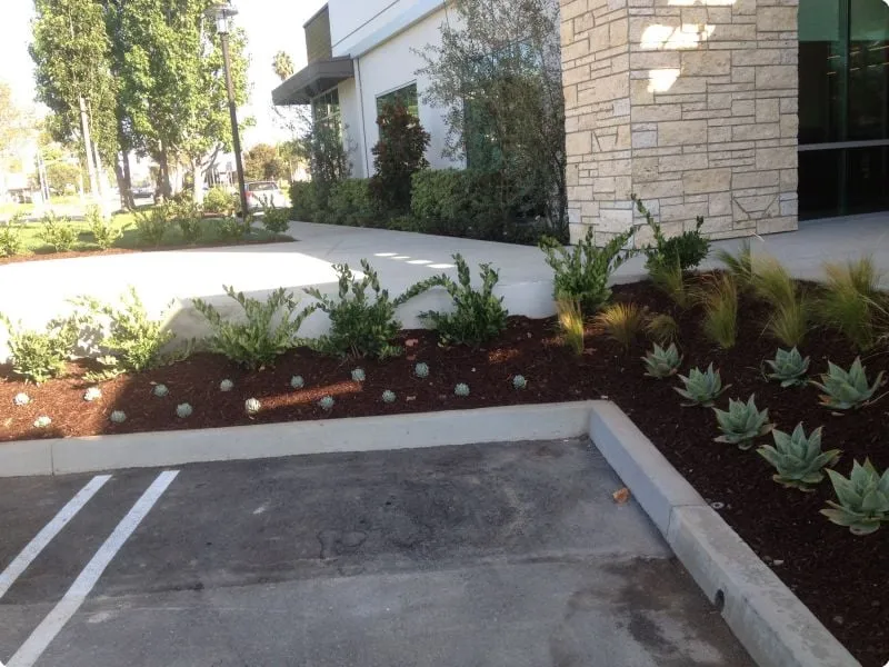Reliable landscape installation in Torrance, CA - Southern California Tree & Landscape