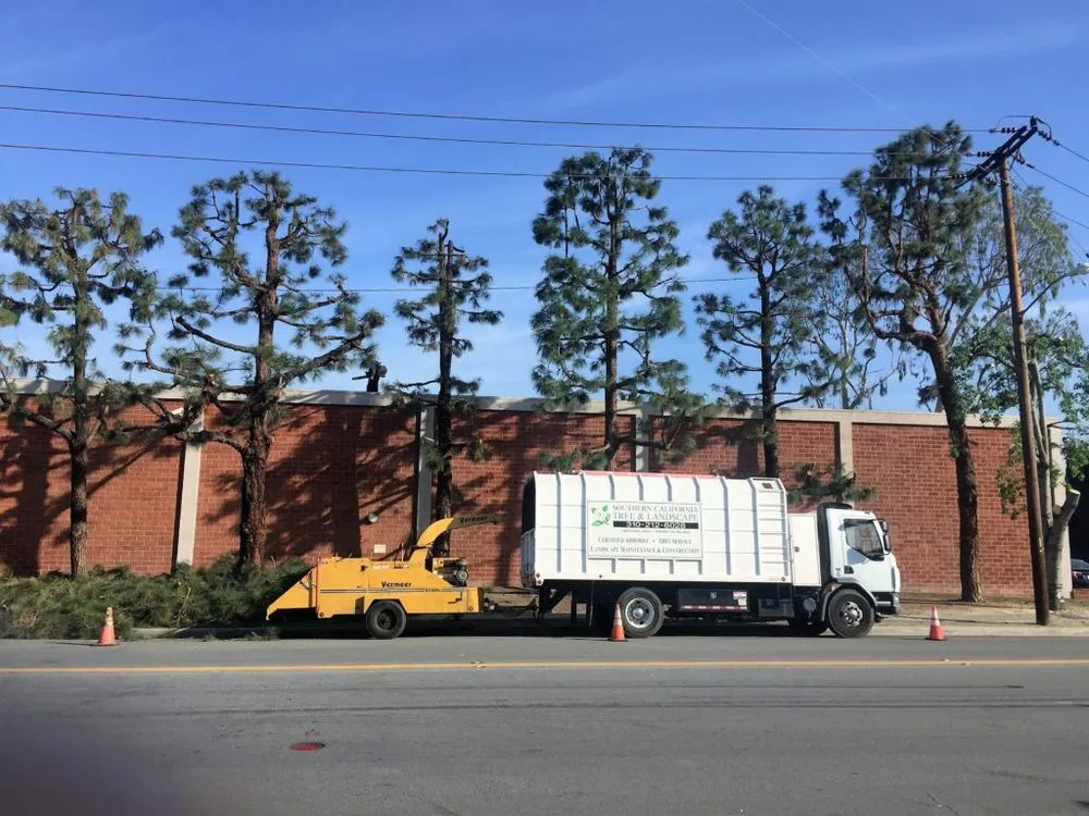 Trusted residential landscaping experts serving Torrance, CA - Southern California Tree & Landscape