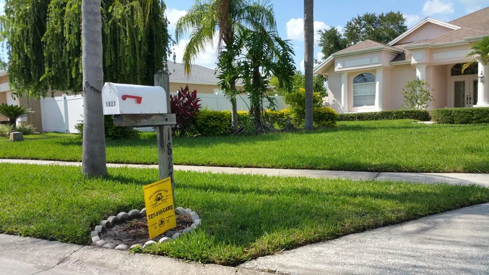 Custom landscaping services experts serving Tarpon Springs, FL - Southern Care Lawn and Pest