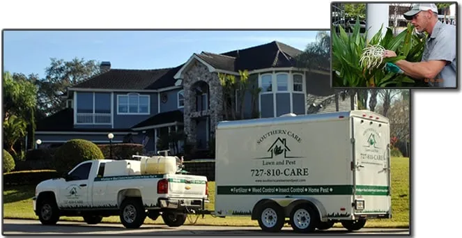Custom outdoor landscaping for year-round maintenance across Tarpon Springs, FL - Southern Care Lawn and Pest
