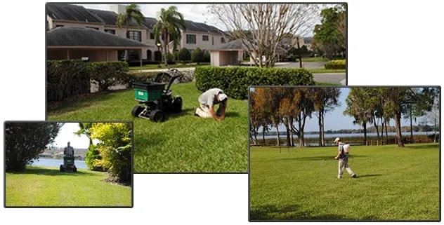 Reliable landscape installation for outdoor upgrades across Tarpon Springs, FL - Southern Care Lawn and Pest