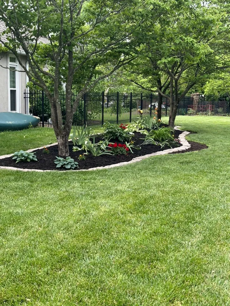 Top-rated lawn mowing service for residential properties across Mammoth Cave, KY - Southern Charm Construction and Landscaping