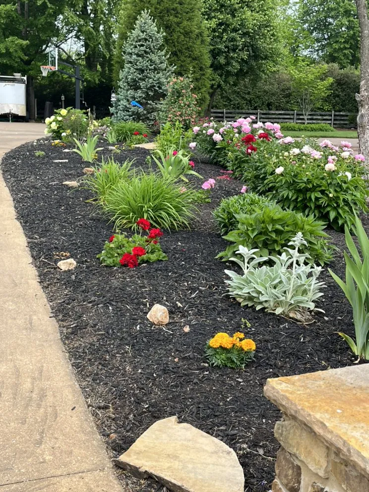 Professional yard maintenance experts serving Mammoth Cave, KY - Southern Charm Construction and Landscaping