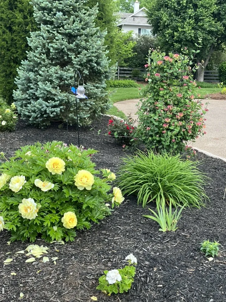 Top-rated yard cleanup service for homes across Mammoth Cave, KY - Southern Charm Construction and Landscaping