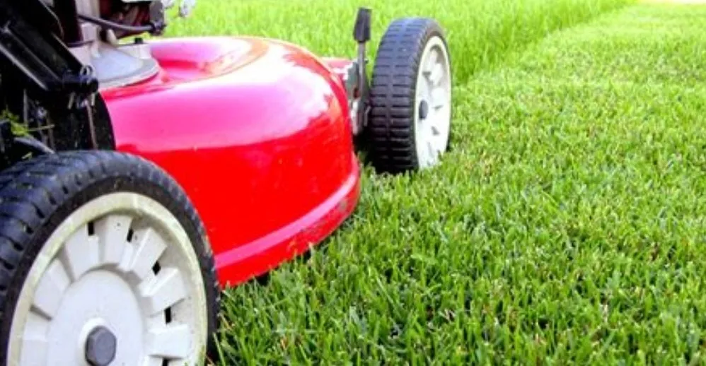 Professional yard maintenance for beautiful yards in Leland, NC by Southern Charm Home Exteriors