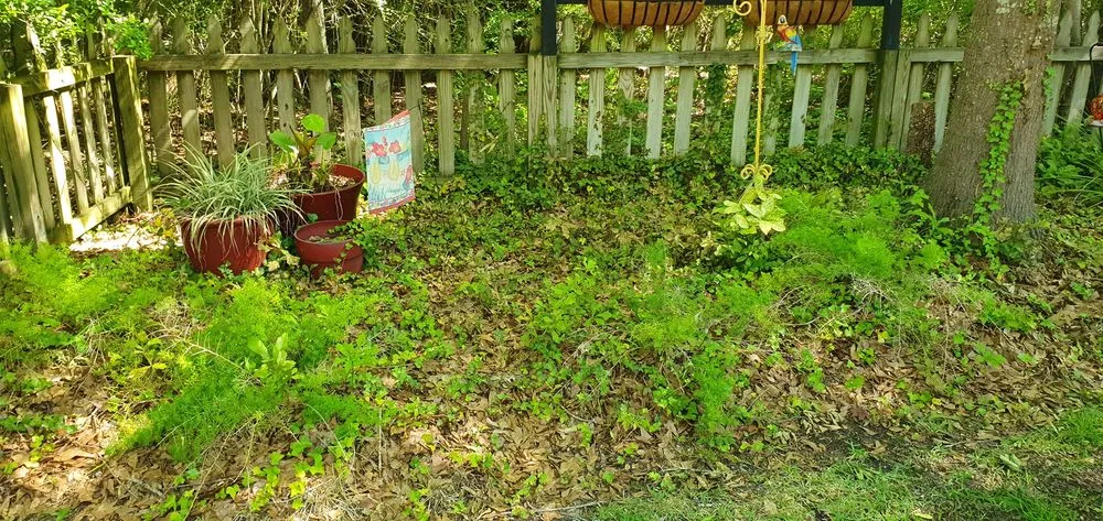 Top-rated landscape installation in Dothan, AL - Southern Choppers