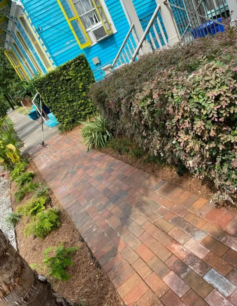 Expert landscaping services in New Orleans, LA by Southern City Farm and Landscaping