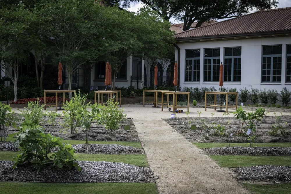 Trusted landscaping services near you across New Orleans, LA - Southern City Farm and Landscaping