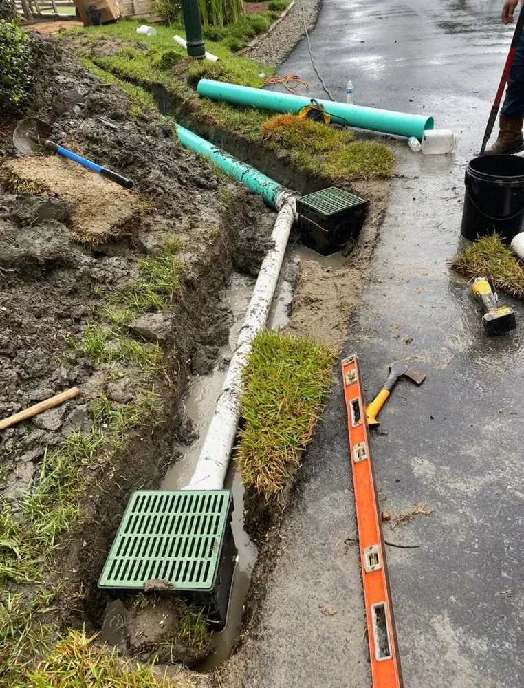 Professional landscaping services in New Orleans, LA - Southern City Farm and Landscaping