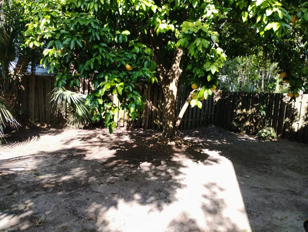 Local lawn mowing service near you in Hinesville, GA by Southern Class Enhancements