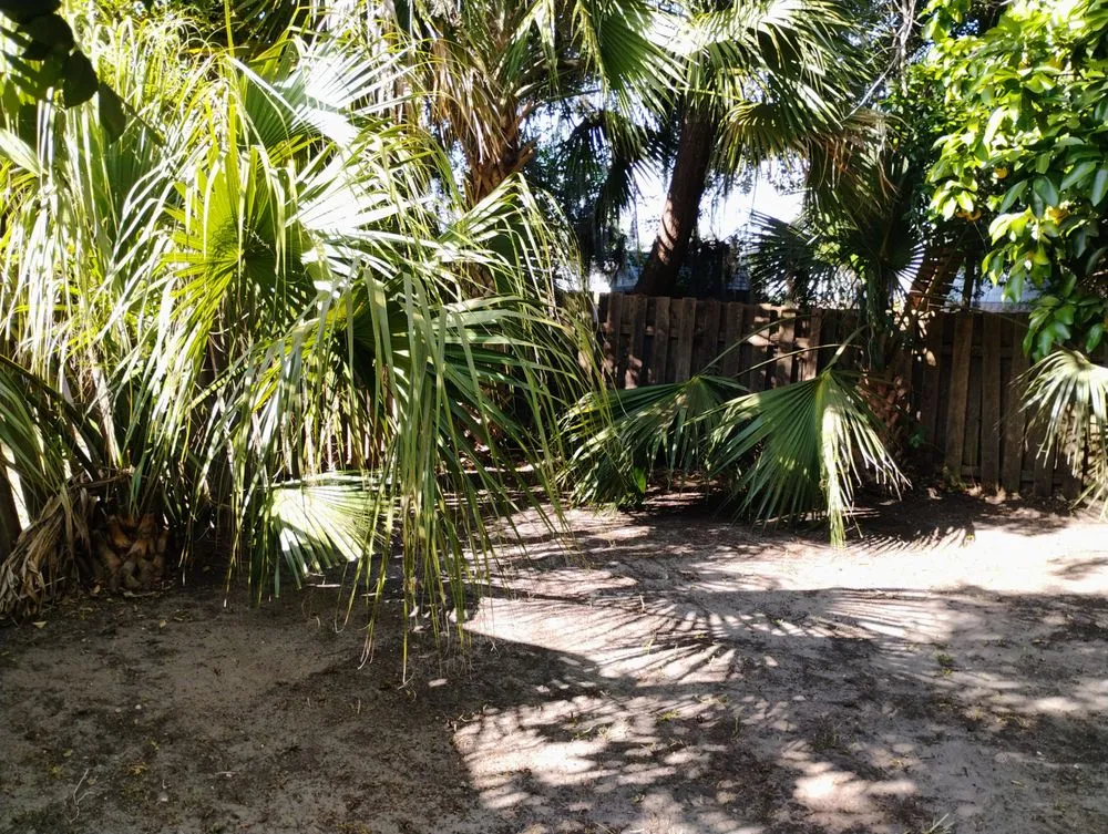 Expert residential landscaping for homes across Hinesville, GA - Southern Class Enhancements