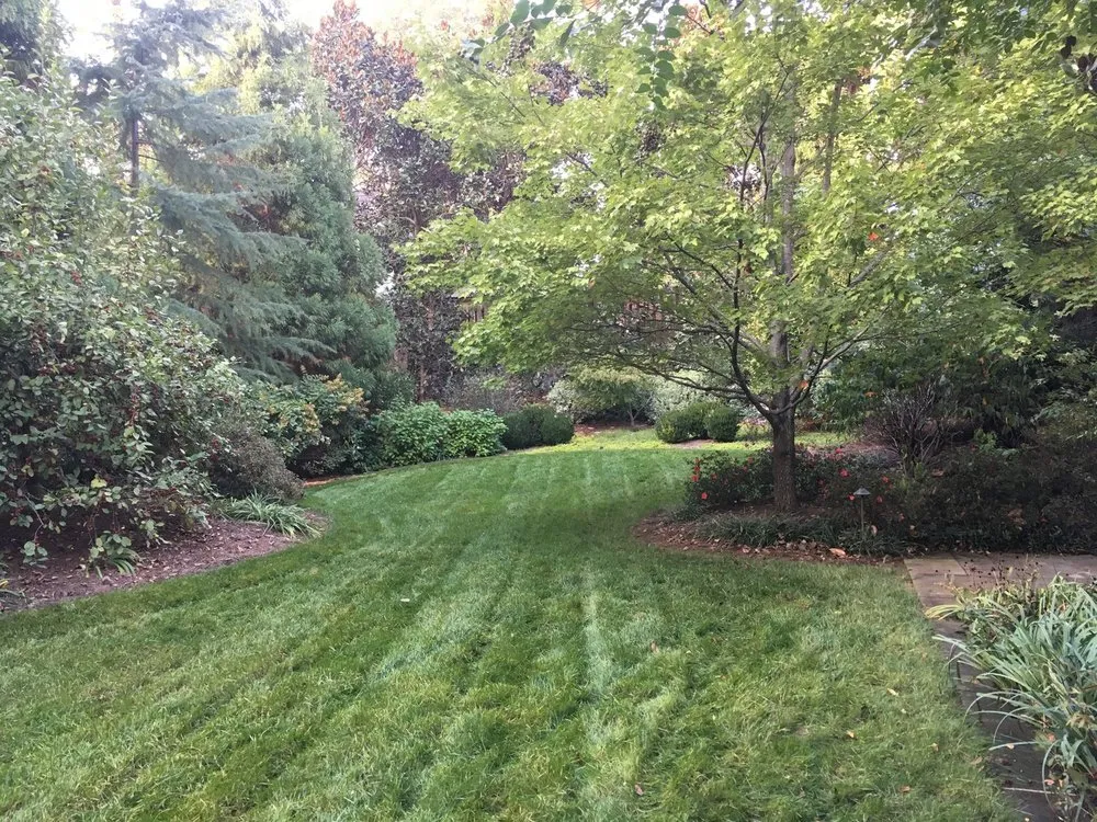 Local lawn mowing service experts serving Buford, GA - Southern Classic Landscape Management