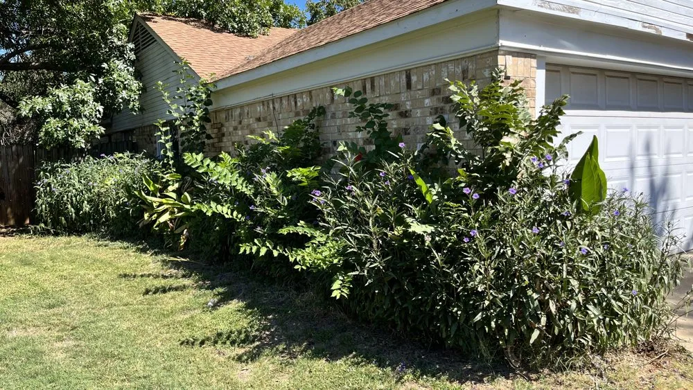 Trusted residential landscaping for homes across Garland, TX - Southern Clean
