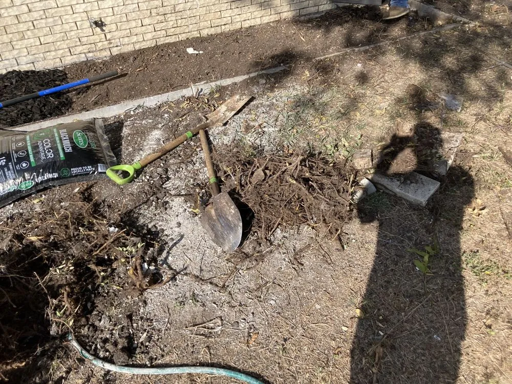 Local residential landscaping experts serving Garland, TX - Southern Clean