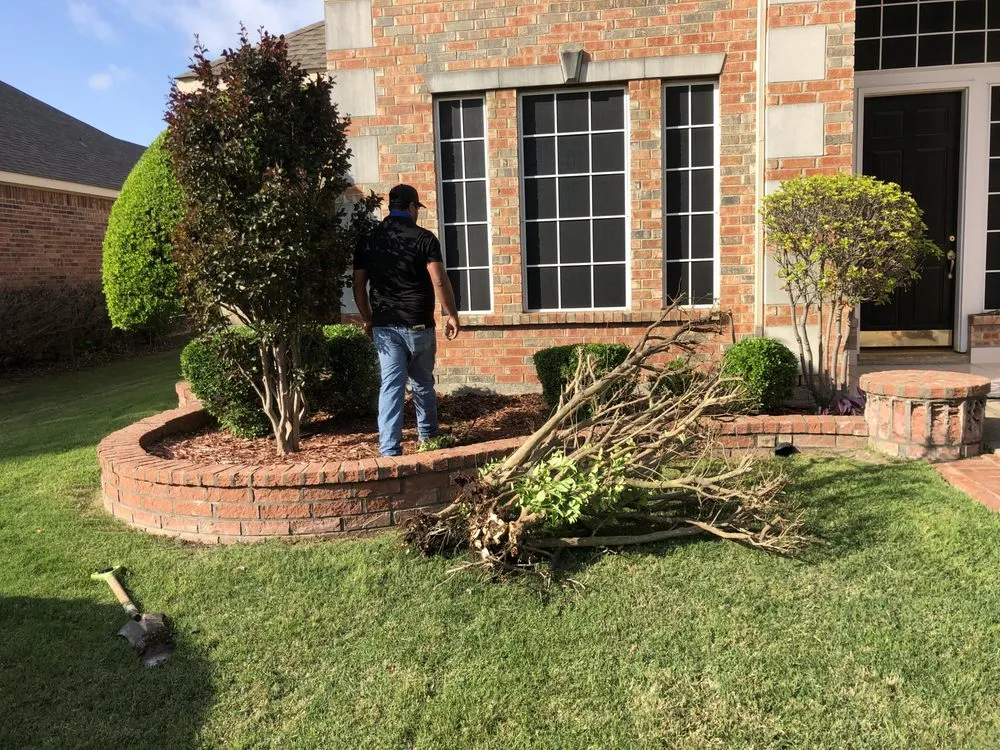 Top-rated outdoor landscaping for homes across Garland, TX - Southern Clean