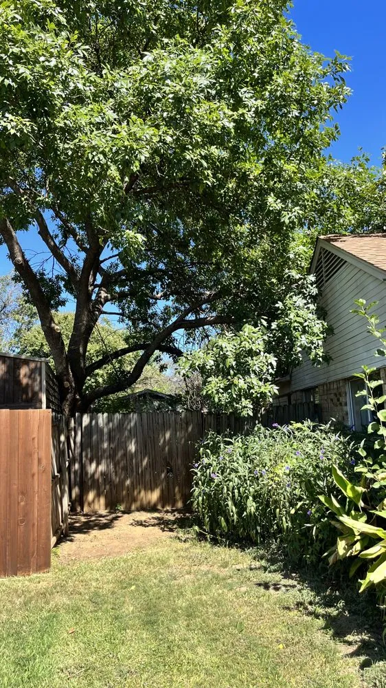 Trusted landscaping services for outdoor upgrades in Garland, TX by Southern Clean