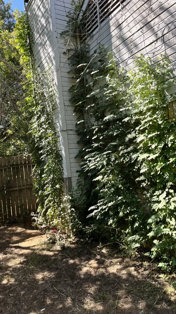 Trusted garden landscaping in Garland, TX by Southern Clean