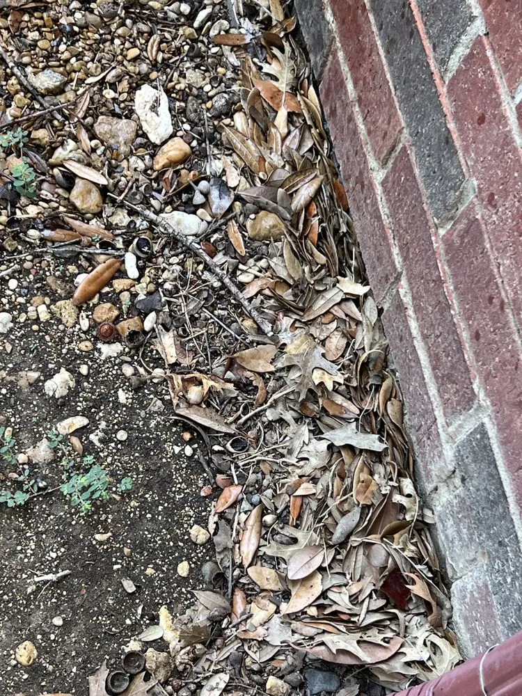 Custom landscape design experts serving Garland, TX - Southern Clean