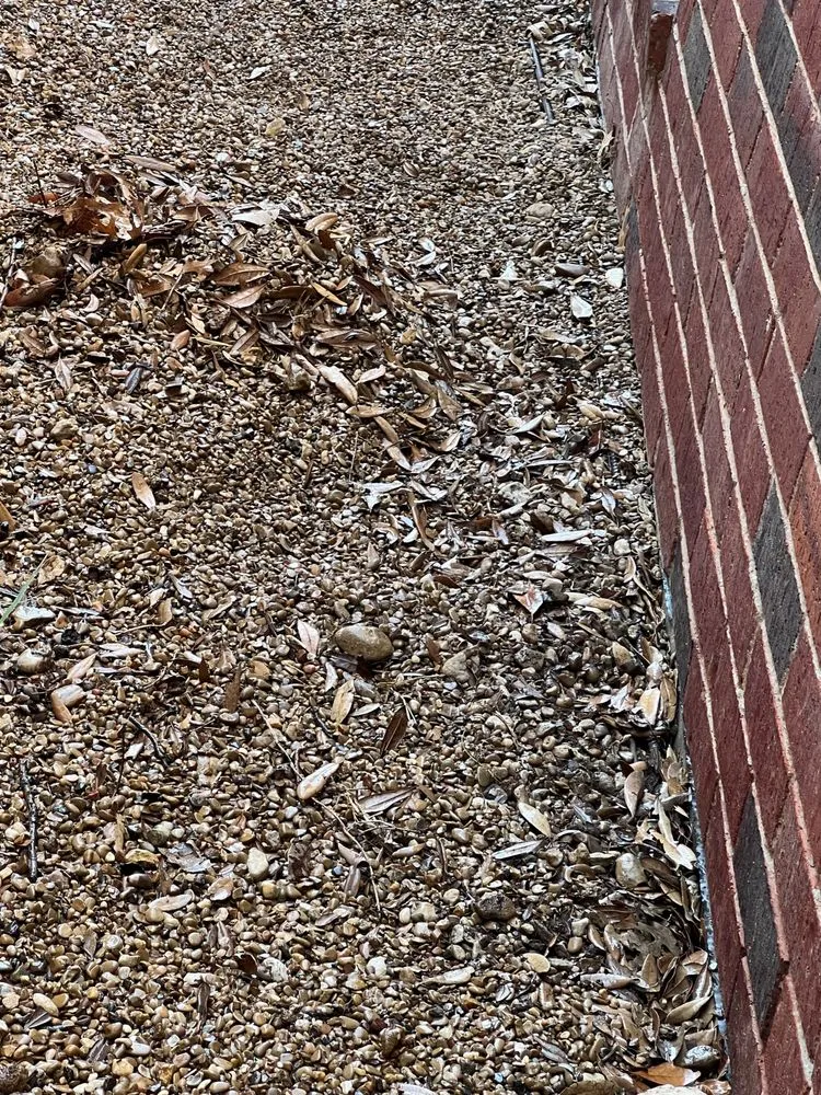 Custom outdoor landscaping experts serving Garland, TX - Southern Clean